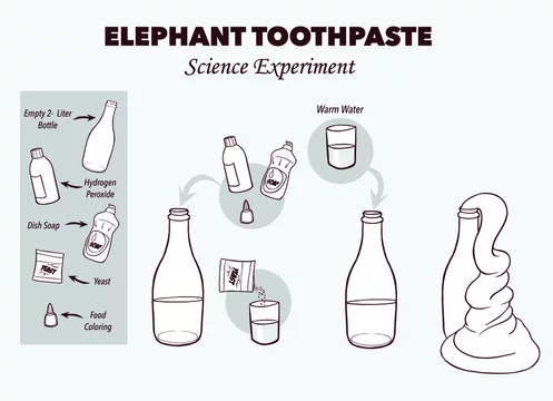 Vector illustration of Elephant's toothpaste experiment