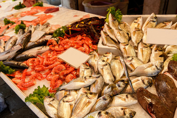 Fresh fish in fish market