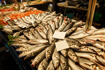 Fresh fish sea bass in fish market