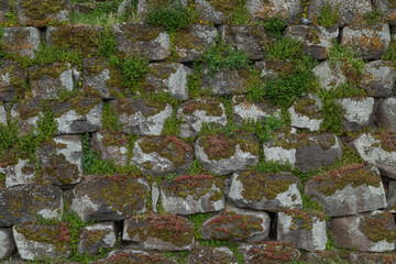 The old stone wall overgrown with plants