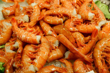 Shrimps in fish market