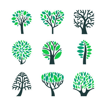 Trees with Green Leaves on Branches Set Isolated on White Background. Summer or Spring Season Foliar Plants, Forrest, Nature or Eco Design Element, Cut Out Objects. Cartoon Vector Clipart Illustration
