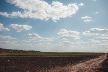 plowed field and blue sky