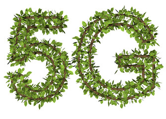3d 5G text on white background. Leaf style text.