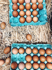 Eggs on the straw background