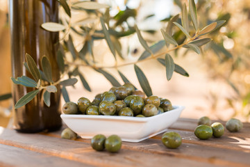 olives on table in an olive grove
