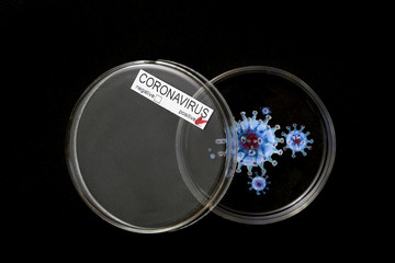 A picture of a coronavirus drawn in a Petri dish