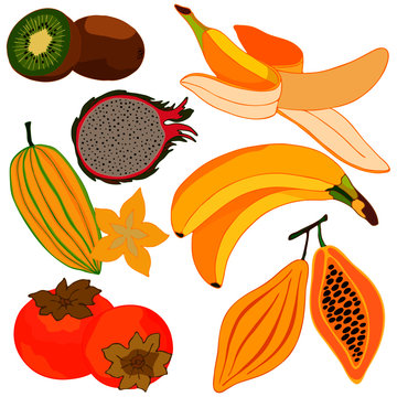 vector illustration, isolate on a white background, tropical fruits in bright colors, banana, persimmon, kiwi, carambola, pitia, papaya