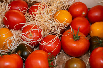 Tomatoes for sale at the market