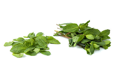 Fresh green leaf of mint isolated on white background. Close-up