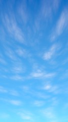 Blue sky background with white clouds. Cumulus white clouds in the clear blue sky in the morning. 3D illustration