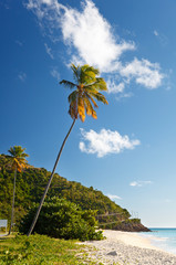 Beautiful Caribbean Beach, Antigua