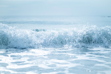 Beach Wave in Beautiful Summer Day