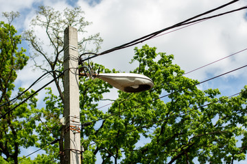 old lantern pole with wires and leaves of a tree
