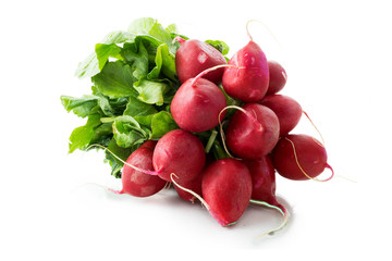 Bunch of radishes