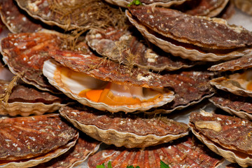 Oysters on the counter in wooden boxes on the market. Oysters for sale at the seafood market.