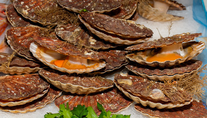 Oysters on the counter in wooden boxes on the market. Oysters for sale at the seafood market.