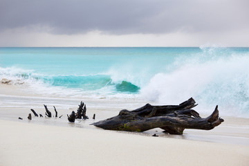Tall Waves At Caribbean Beach, Antigua