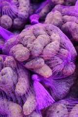Mesh bags of fresh purple fingerling potatoes at the farmers market