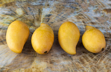 Close up Yellow Fresh mangos on real wood table. Mango tropical fruit on wood background. 4 mango...