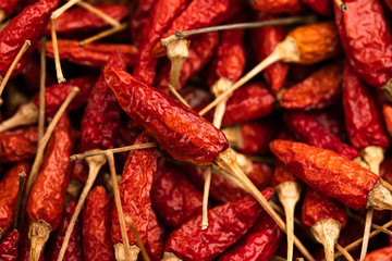 Red peppers in a Red chilli background