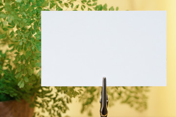 メモスタンドと観葉植物