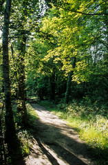 Fototapeta na wymiar Sentier de découverte, Maincourt, Parc naturel régional de la Haute vallée de Chevreuse, 78, Yvelines