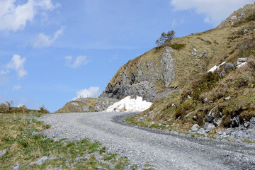 Fototapeta na wymiar un chemin de randonnée dans la montagne au printemps - Suisse