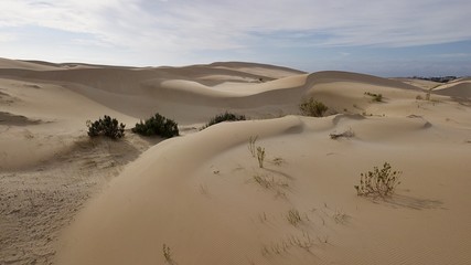 dunes Alexandria