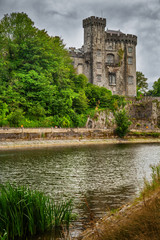 Fototapeta na wymiar Kilkenny Castle At River Nore In Ireland