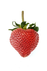 red strawberry on white background
