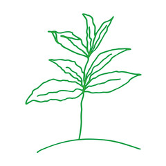 Sprouts growing green. Plant growth phases. Growth from the seed. Plant tree isolated on white background. The concept of development, evolution. Vector illustration.