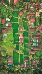 Aerial top view of a red roofs houses with swimming pools and green rice fields. Ubud, Bali, Indonesia