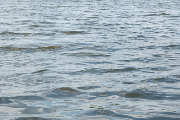 river waves in windy weather on a sunny day