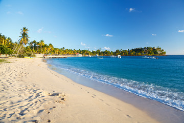 Perfect Caribbean Beach With Blue Sky, Antigua
