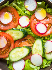 Simple vegetarian salad with fresh cucumbers, radishes, tomatoes and lettuce seasoned with olive oil close up