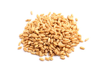 Seed of Wheat grain on white