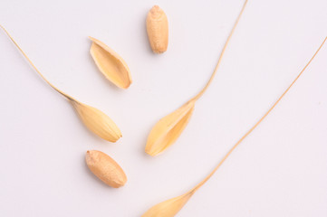 Seed of Wheat grain on white