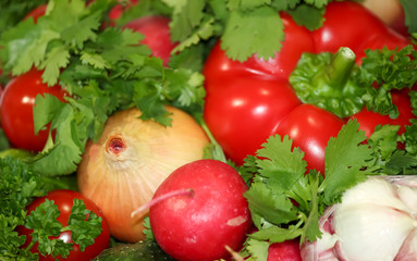 Food grown in a greenhouse garden. Seasonal vegetables.