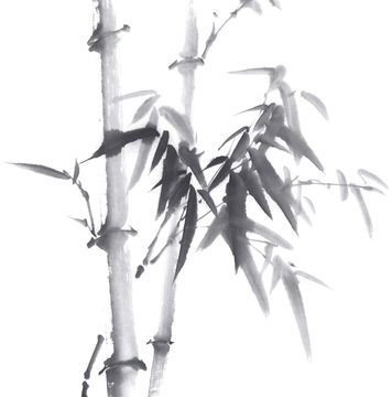 荒井 克典 写真 画像 アセット Adobe Stock