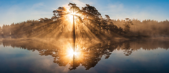 Stunning sunrise through trees and reflected on still lake © Mikael