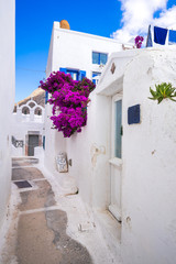 Emporio street with bougainvillea bloom and tower bell in the back, Santorini island, Cyclades, Greece