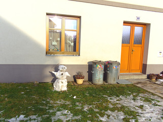 Sad melting snowman in spring