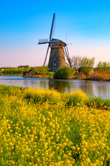 windmills in holland on a sunny day - obrazy, fototapety, plakaty