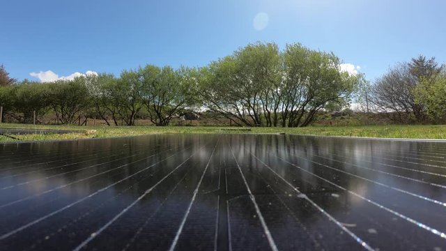 Time lapse pf Photovoltaic modules with trees and cows in the background