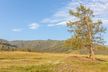 Altai, Altay Mountains, are a mountain range in Central and East Asia, where Russia, China, Mongolia, and Kazakhstan come together, and where the rivers Ob and Irtysh have their headwaters.