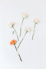 Obraz premium Pink and white roses are glued with tape on the wall. Flower concept.