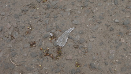 splinter on the ground