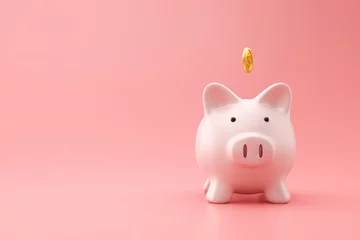 Fotobehang Piggy bank and golden coin on pink background with saving money concept. Financial planning for the future. 3D rendering. © Lemonsoup14