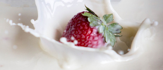 Strawberry is falling into white milk and splashing. Splash. Concept of healthy eating, dieting.